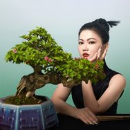 小林说盆景抖音达人头像