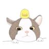 江小傲鲜肉猫粮官方号抖音达人头像