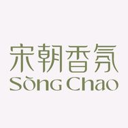 宋朝官方旗舰店抖音达人头像
