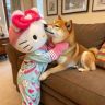 helloKitty可爱大王抖音达人头像