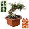 大唐农品店抖音达人头像