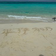 驰双优选1号仓抖音号头像