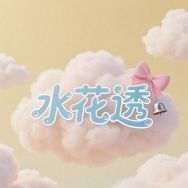 水花透官方旗舰店抖音号头像