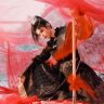 峨眉派陈禹霏抖音达人头像