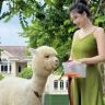小乔妈小号抖音达人头像