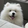 泡泡耶抖音达人头像