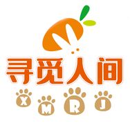 寻觅人间抖音达人头像