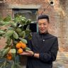 老树根抖音达人头像