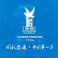 飞鸽淘迪童车专卖店抖音达人头像