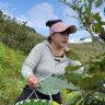 茧村三姐(十二号上午九点柞蚕蛹)抖音达人头像