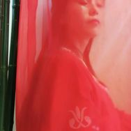 倚东风手机摄影(自拍)抖音达人头像