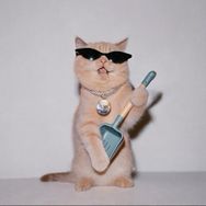 快铲猫砂抖音达人头像