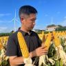 张良讲玉米大丰收8516抖音达人头像