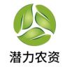 懂丰种业抖音达人头像