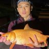 钓鳝阿晶🦨抖音达人头像