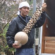 老表大呲花抖音达人头像