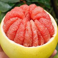 平和琯溪蜜柚真好吃—甜允抖音号头像