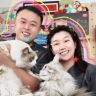 三只吃货喵喵喵🐱🐱🐱抖音达人头像