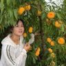 水蜜桃🍑盼盼抖音达人头像
