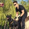 训犬师～晓峰抖音达人头像