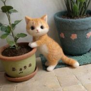 记录生活吧抖音达人头像