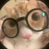 有点猫饼🫓抖音达人头像