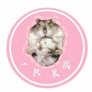 一只笨鼠抖音达人头像