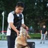 豆哥来了…直播号抖音达人头像