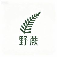 野蕨｜Wild Fern抖音达人头像