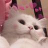 猫猫老师抖音达人头像