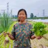 生菜杨姐抖音达人头像