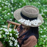 爱种花的茉莉（小号）抖音达人头像