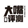 大嘴评测·手机直播间抖音达人头像