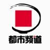 河南都市频道抖音达人头像