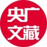 央广文藏抖音达人头像