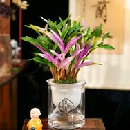 木乐青园艺林草抖音号头像