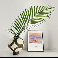 一丛好养绿植抖音达人头像