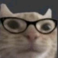 劳呆🐱抖音达人头像