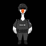 六安特警抖音达人头像