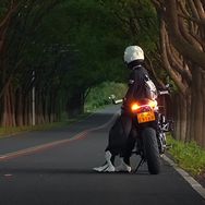 拖把抖音达人头像