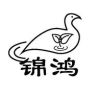 锦鸿包装源头工厂店（厦门分部）抖音达人头像