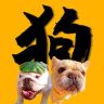 二狗司令抖音达人头像