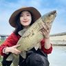 海燕钓鱼抖音达人头像