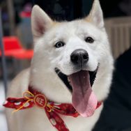 嘻哈不拆官方旗舰店抖音达人头像