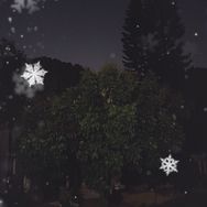 女王号抖音号头像