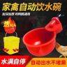 尤总的小铺抖音达人头像