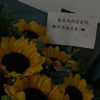 无限咪（养了141只布偶猫）抖音达人头像