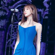 桔梗花live抖音达人头像