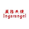 英格天使Ingarangel永康市蓝宸工贸有限公司专卖店抖音达人头像