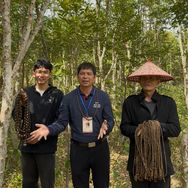 沉香产业带头人老许抖音达人头像
